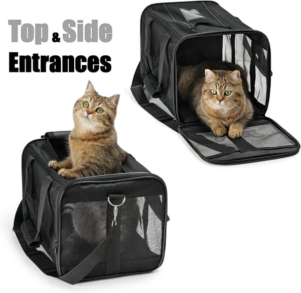 Pet Carrier, Soft, Foldable, Durable, Airline Approved (M) M M