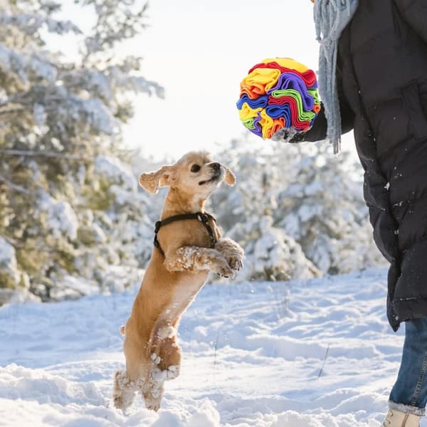 Snusemåtte til hunde, interaktivt hundelegetøjsbold, hund-FA5-