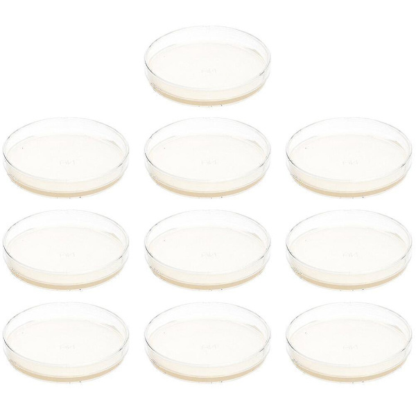 10 Forhåndsfylte Agarplater Petriskåler med Agar Vitenskapelige Eksperimenttilbehør