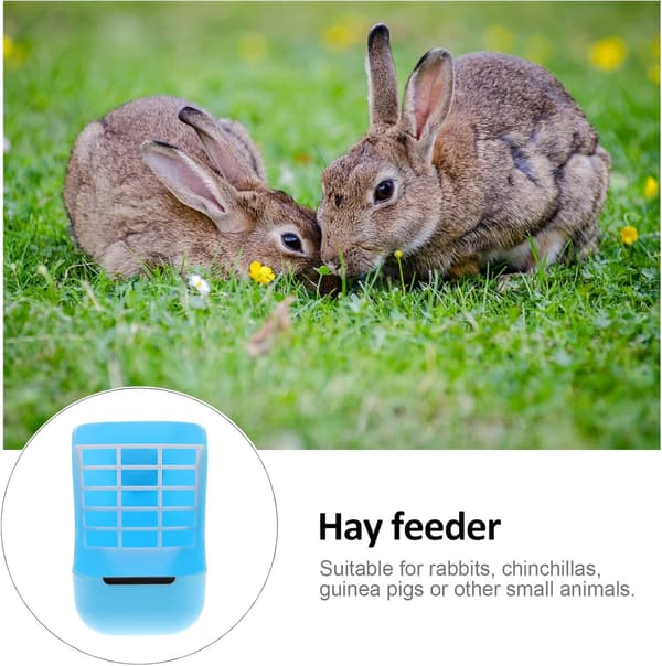 Hengende fôrautomat for små kjæledyr med flat design, blå, plast -