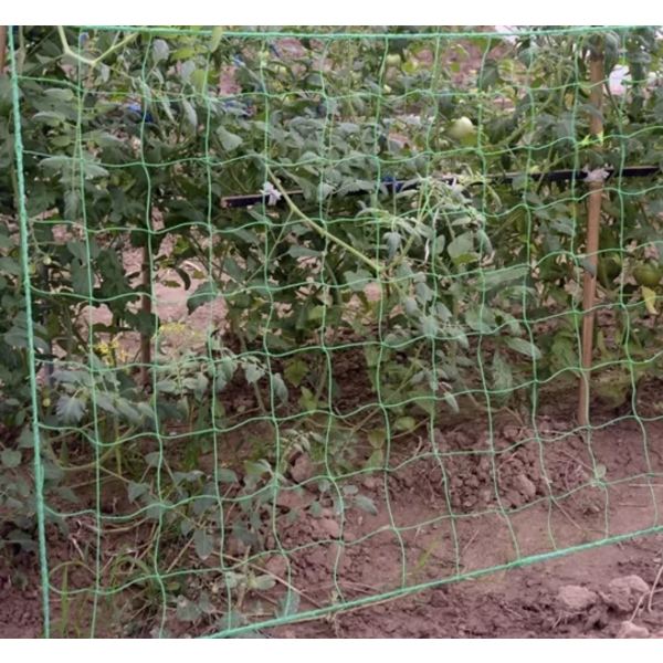 Plantenet / Støttenet til Planter - 2x10m 200