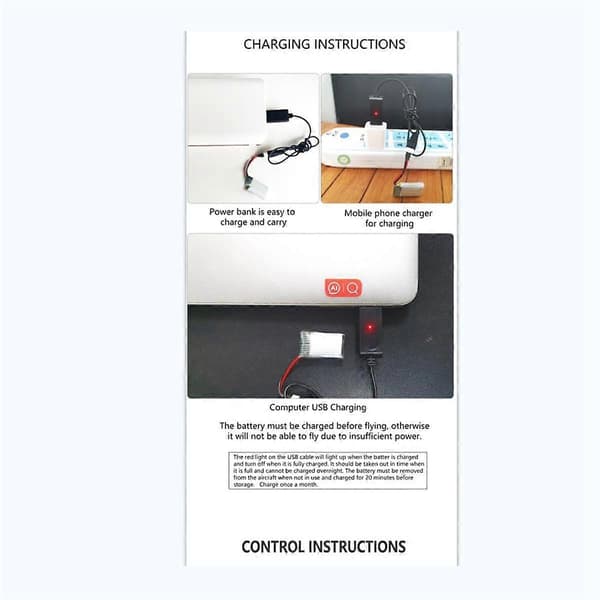 RC Airplane Remote Control Pterosaur 2.4Ghz 2 Channels DIY RC Pterosaur Control EPP Foam Glider Toys (Two Batteries) B