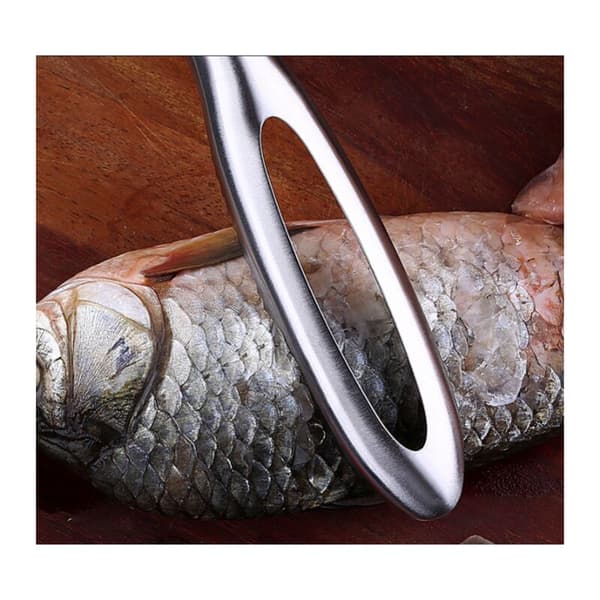 Fiskeskaler Rustfritt stål fiskeskjellskrape