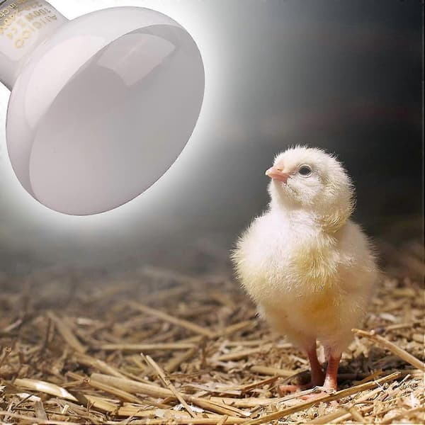 Infrarød Lampe - Rødt Varmelys til Krybdyr og Padder, 100w Pakke, Hvid [DB]