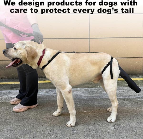 Tail Protector for Dogs, Tail Cover for Wounds Black Dog Harness