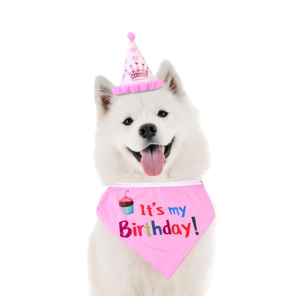 Festutstyr til hunde-bursdag, bursdagshodeplagg til kjæledyr og bursdagsbandana til hund (4-pakning)