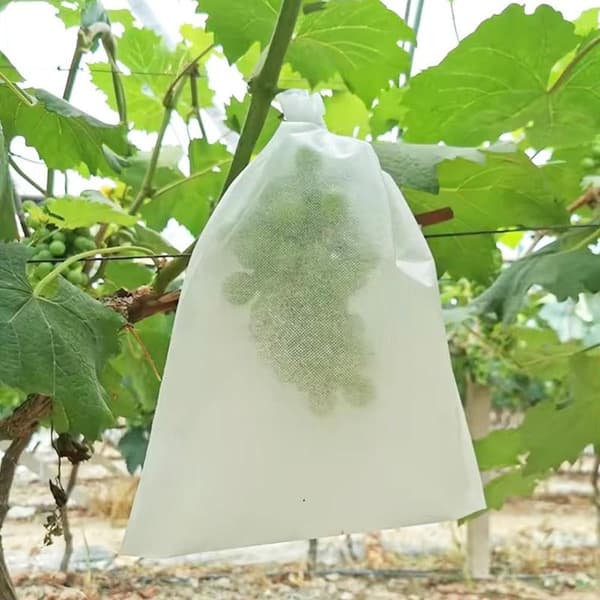 100 st Fruktskyddspåsar, Fruktskyddspåsar med dragsko, Trädgårdsbarriärpåse Druvskyddspåsar Insekter Myggskydd