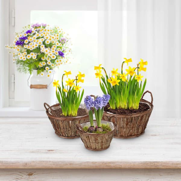 Rund blomsterpotte i tre - sett med 3 1240