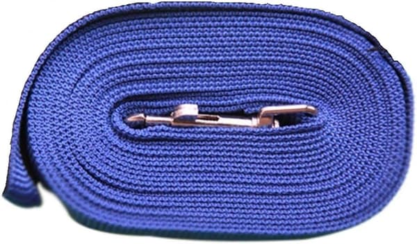 Dog Leash Puppy Training Recall Walk Harness 5 Meter Strong Long Line