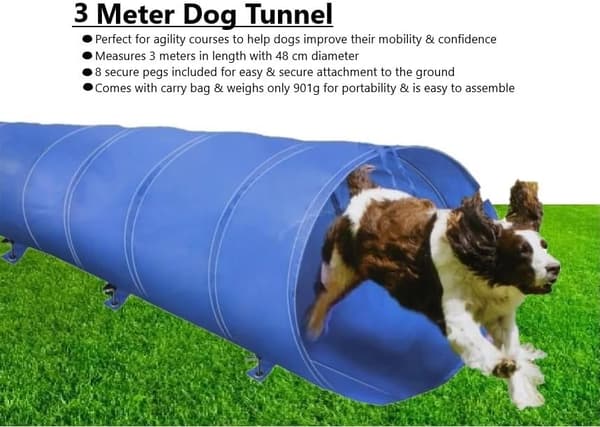 Hundetræningstunnel 3M - Udendørslegetøj sammenklappeligt agilityudstyr til hund, kat og kæledyr - Let at folde sammen - Til dyretræning