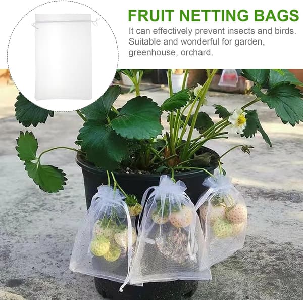 Fruktnätpåsar med dragsko 25 st organza polyester andas -