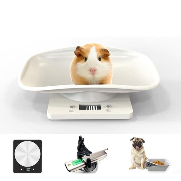 Digital Pet Scale Kitchen Scale Multifunctional LCD Electronic Scale 10kg Weight Scale Pet Accessories