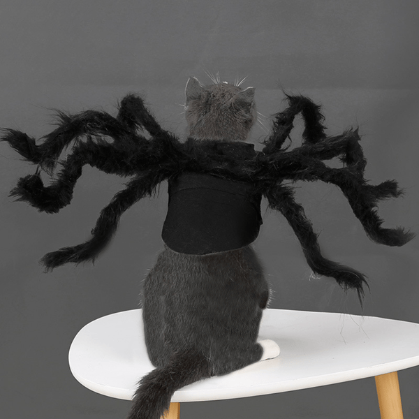 Halloween Spindeldräkt för Hund Katt, Halloween Kattdräkt för D