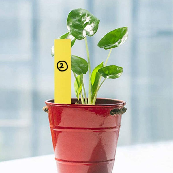 100-pakke plantemerkelapper, gule