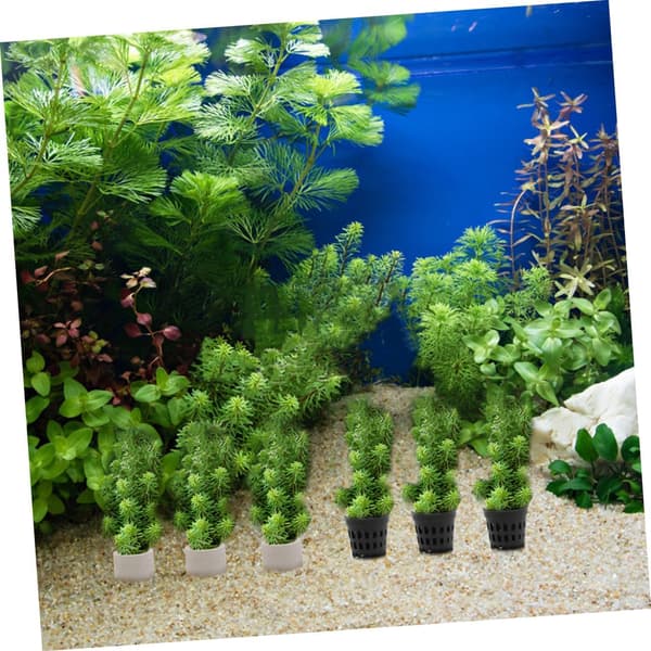 akvarium vannplanter holder sett svart fra keramikk og plast -