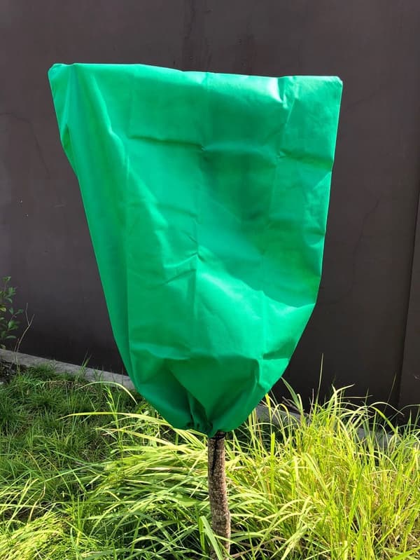 2 ST (60*80 CM) Växtskydd mot frost på vintern