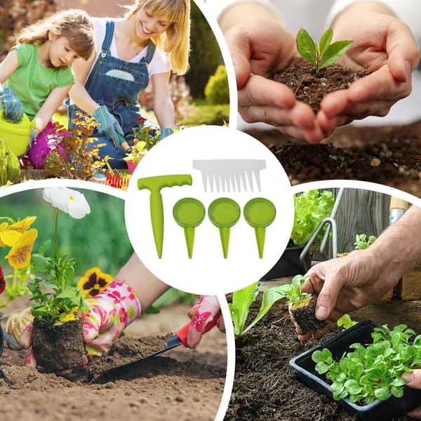 Plantavståndshållare, 14 x blomfröer, traditionella set -