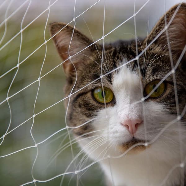 Balcony Cat Net - 4x3m - Cat Net - Balcony - Easy - Assemble - Cat Fence System - Protective Net - Cat - or - Window - White