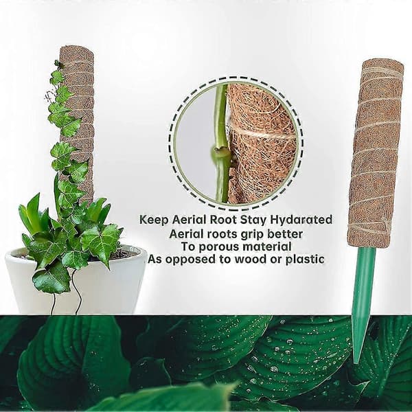 Mosstok, Mosstok til planter Monstera, Mosstokke til klatreplanter, Philodendron Pothos Pla