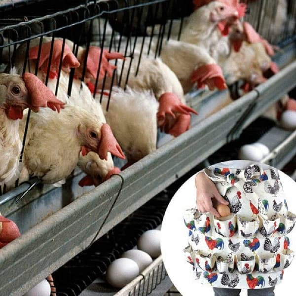 Egg Collecting Apron 12 Pcs Chicken Rooster Print Canvas Egg Bags Chicken Coop Chicks Household Items Farm Kitchen Workplace