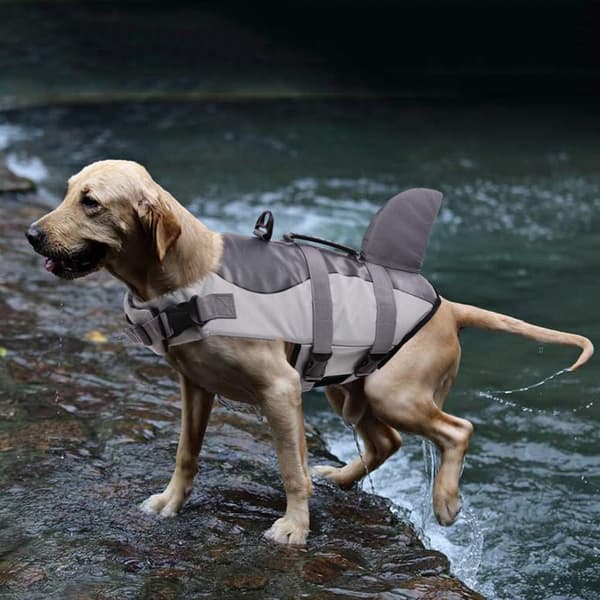 Adjustable Dog Life Vest with Soft Handle Pet Life Jacket Pool, Beach, Boat Grey, L