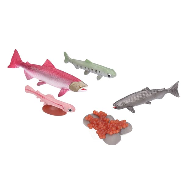 Growth Cycle Model Vinyl Material Safe Odorless Vivid Real Salmon Wildlife Cycle Model for Over 3 Years Old