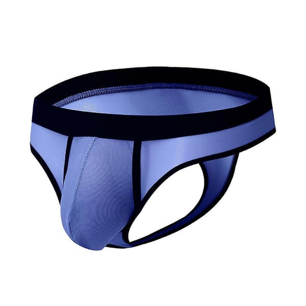 Issilke Mesh Läpinäkyvät Miesten Stringit Miesten Alusvaatteet - WELLNGS Sininen L Blue L