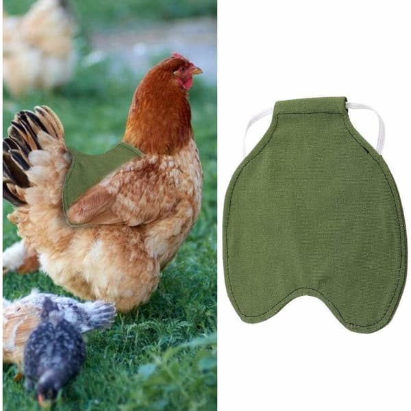 Fjäderdräktsskydd Premium Tyg Stänkskydd Höna Kyckling Sadel Förkläde Dubbel Triumf Jacka (Grön)
