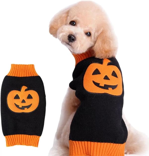 Hundetrøje Græskar Kæledyrsdragt Halloween Feriefest for Kat og Hvalp (L)(L)