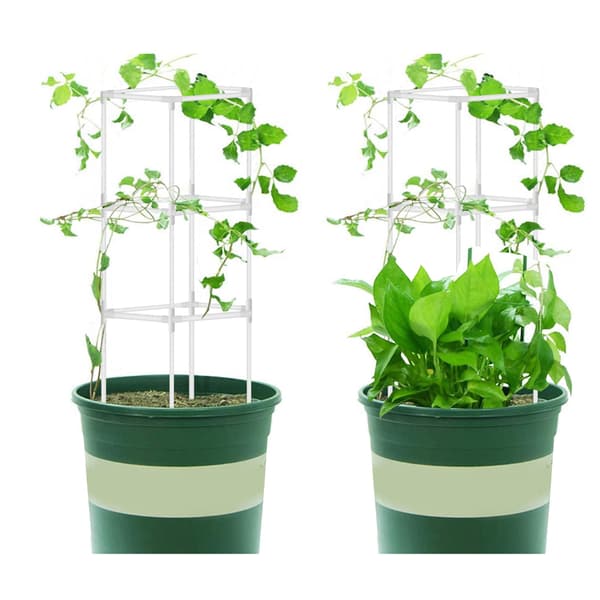 Harestøtte til planter, bure, forbindelser, vinstokke, klatreplanter