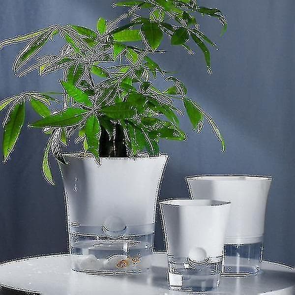 Self-watering flower pot, hexagonal transparent base self-watering new 2024 high quality x. (Small)