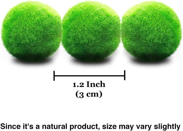 Medelstora mossbollar, akvariedekoration för akvariehusdjur, 3 bollar per förpackning