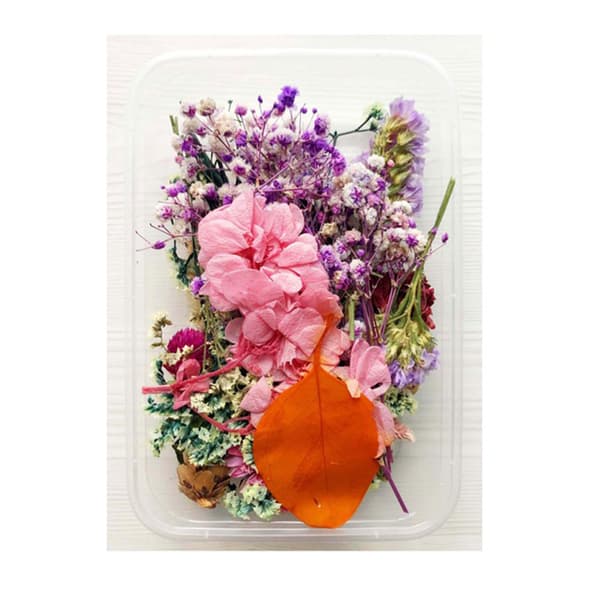 Assorted Dried Flower and Foliage Everlasting Dried Flowers for Candle Making 2 Pack 2 Pack