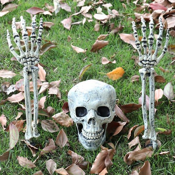 Fake Skeleton Halloween Decorations - Skulls and Arms - Halloween