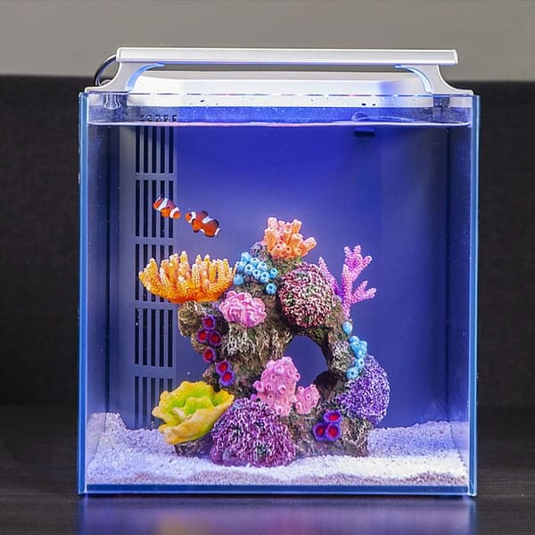 1 stk polyresin korallpynt, akvarium korall dekor for F
