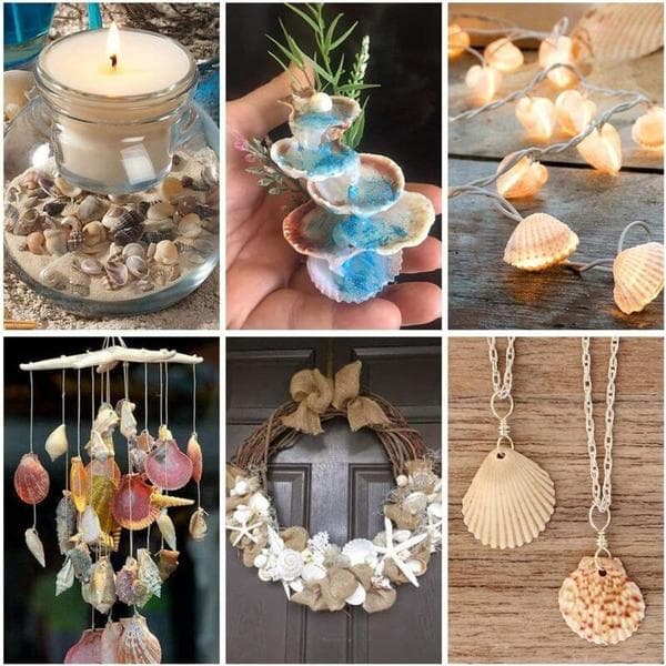 Seafood Mix Large Shells Decorative Crafts Decoration Shells Maritime Decoration