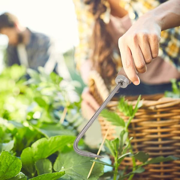 Garden Weeder with Handle, Weeding Tool, Digging in the Garden, Outdoor