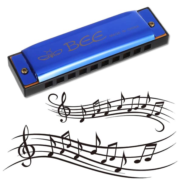 10-hulls Munnspill i C-toneart Rustfritt Stål Mini Blues Harmonica Perfekt Gave til Barn Voksne Nybegynnere