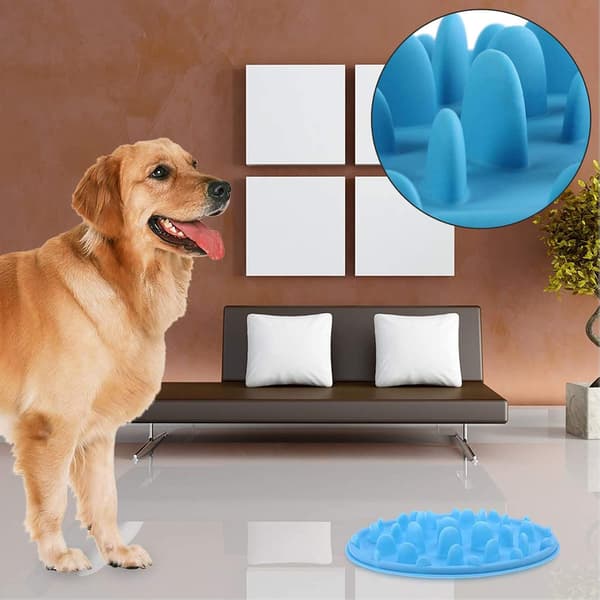 Slow Feeder Dog Bowl and Interactive Silicone Non-Slip Pet Bowl