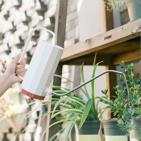 Stainless Steel Watering Can with Long Spout and Large Humanized Handle for Garden, Ivory White