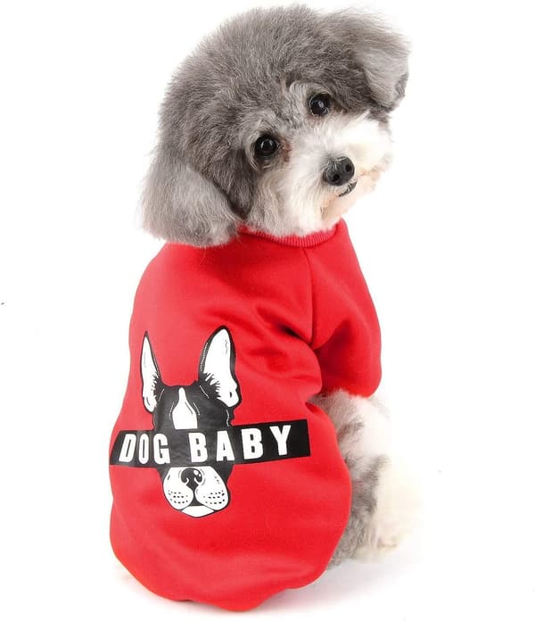 Kläder för små hundar Vinterrock Pullover Sweatshirt Bomullspadderad Valpjacka Kostym för hund Katt Yorkshire Chihuahua (Röd M)