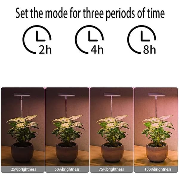 Plant lamp / plant lighting, adjustable height, Lamp for plants with on/off timer (2/4/8 hours) - suitable for small plants & indoor plants