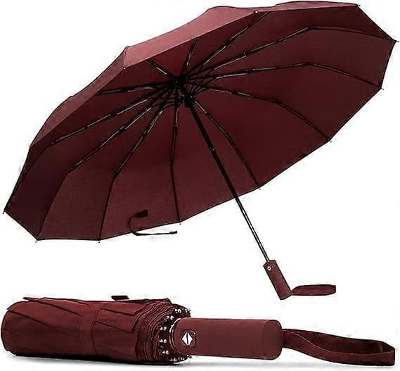Vindtätt kompakt reseparaply med 10 ribbor - Autofällbart lättviktigt bärbart paraply för regn- och solskydd - 2-pack