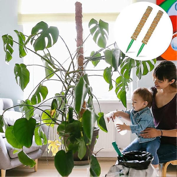 Mosepinne, Mosepinne for Monstera-planter, Mosepinner for klatreplanter, Philodendron Pothos Pla