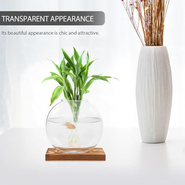 Hydroponikvas av glas med träbas, transparent för växter