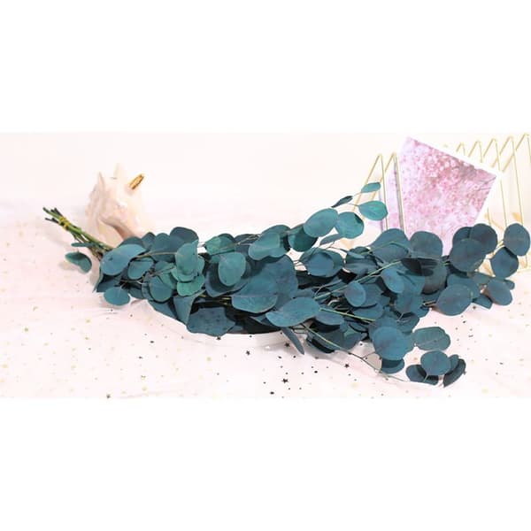 Dekorativ eukalyptus tørket blomsterbukett for stue, langvarig