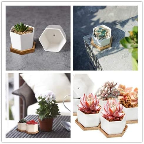Sukulent blomkruka, kaktuskruka, liten blomkruka, mini blomkruka