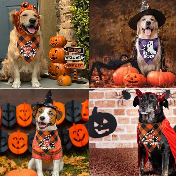 Halloween hundbandanas, 2-pack bomull vändbar upplyst pumpa fladdermus tryck Halloween husdjur bandanas