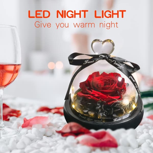 Evig bevart gave til Valentinsdag jul, med LED-lys