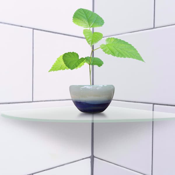 2 Pcs Acrylic Radial Corner Shelf Wall Mounted Floating Shelves Home Decor (Transparent)